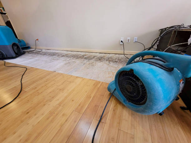 Professional Flood Damage Cleanup technician working in Cedar Bluff, VA